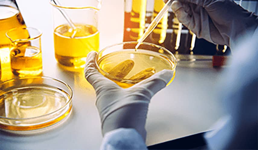 Lubricants Testing Lab
